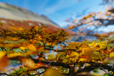 Lakes in the National Park Los Glaciares Autumn in Patagonia, the Argentine sideの写真素材