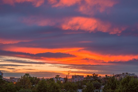 A bright sunset in the park of Turia before the rain. Valencia, Spainの写真素材