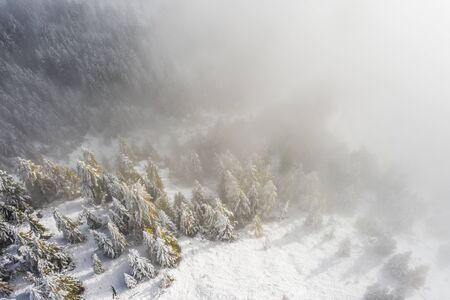 Aerial view of a forest covered with fresh snow and clouds in the Aletsch Arena area. Switzerland in the fallの写真素材