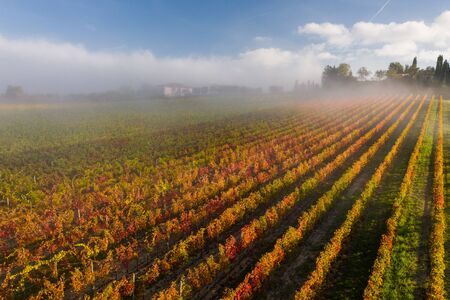 Aerial view of a rural landscape during sunrise in Tuscany. Rural farm, vineyards, green fields, sunlight and fog. Italy, Europe.の写真素材