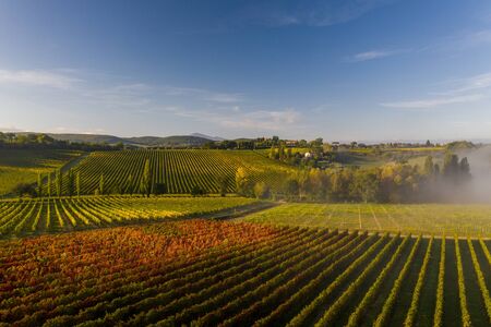 Aerial view of a rural landscape during sunrise in Tuscany. Rural farm, vineyards, green fields, sunlight and fog. Italy, Europe.の写真素材