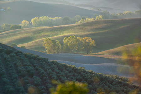 A stunning landscape view on an autumn morning of the hills of Tuscany with ploughed and green grass covered with beautiful undulating fields. The sunlight covering the meadows and fields makes magical light shadows playの写真素材