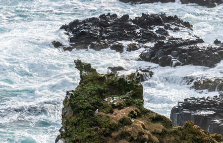 Iceland Cliff Of Many Seaguls