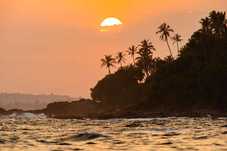 Sunset on the beach with coconut trees in Sri Lanka island.の写真素材