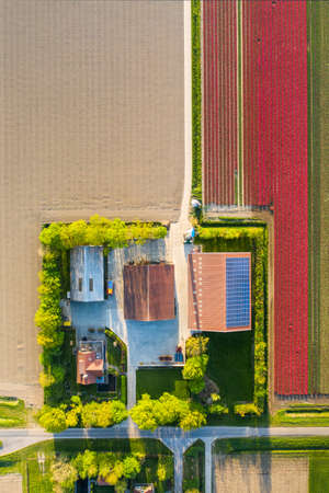 Aerial view of tulip planted fields in the Dronten area. Spring in the Netherlandsの写真素材