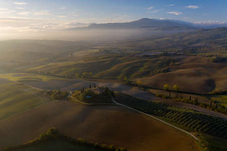 Aerial view of the fields, wineries near San Quirico dOrcia. Tuscany autumn sunriseの素材 [FY310175723670]