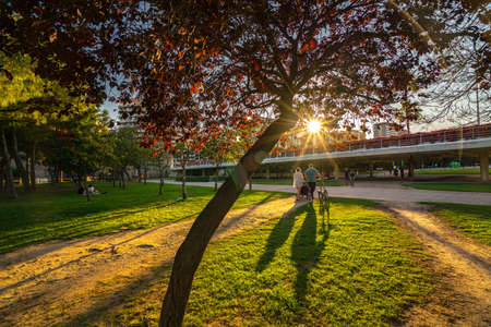 People walk on a warm spring evening during sunset in the Turia park. Valencia.