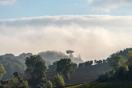 Magical outline of a misty valley in the morning landscape, the countryside of Tuscany, Italy,...