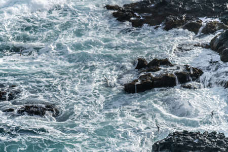 Iceland Cliff Of Many Seagulsの写真素材