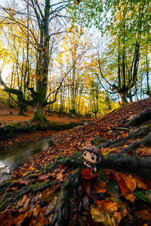 Mysterious Otzarreta forest. Gorbea natural park, Basque Country, Spainの写真素材