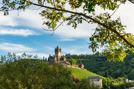 Scenic View of Castle Cochem Surrounded by Nature in Summerの写真素材