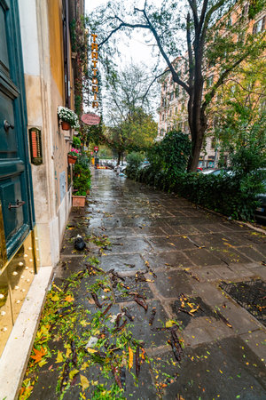 Rainy Street in Rome with Colorful Plantsの写真素材