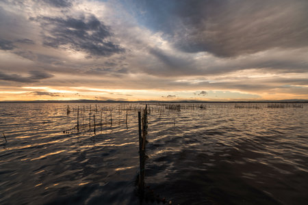 Stunning Sunset Over Lake Albufera, Spainの写真素材