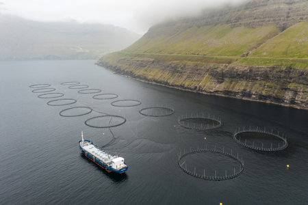 Aerial View of Fish Farming in Faroe Islands with Drone at Summers Endの写真素材