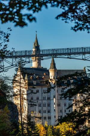 Majestic Neuschwanstein Castle Surrounded by Natureの写真素材