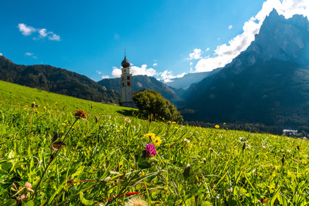 Stunning Landscape of Lago di Braies, Italy with Flower-Filled Meadowの写真素材