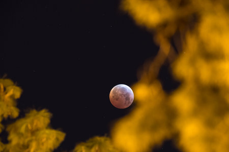 Stunning Lunar Eclipse Over Valencia Night Skyの写真素材