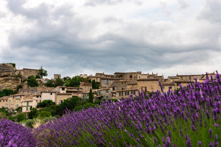 Lavender Fields and Historic Village in Provence, France