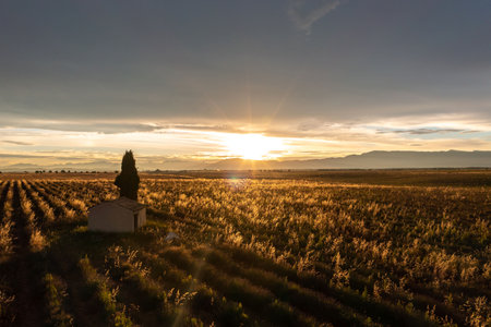 Stunning Aerial View of Provence Landscape at Sunsetの写真素材