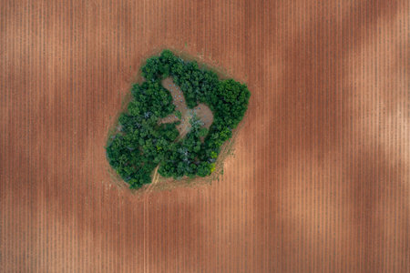 Aerial Panoramic View of Lush Green Area in Provence, Franceの写真素材