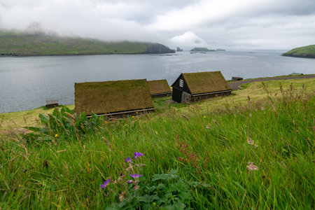 Serene Summer Landscape of the Faroe Islands with Traditional Grass-Roofed Housesの写真素材