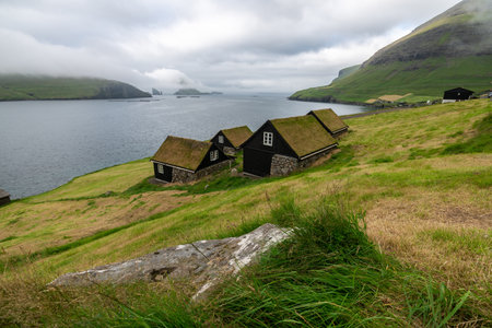 Charming Black Topped Houses by the Serene Waters of Faroe Islandsの写真素材