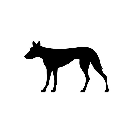 Dog silhouette. Dog breed icon. Labrador silhouette. Pet care concept. Vet concept. Vectorのイラスト素材