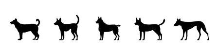 Dog silhouettes set. Dog breeds. Labrador silhouette. Pet care concept. Vet concept. Vector setのイラスト素材