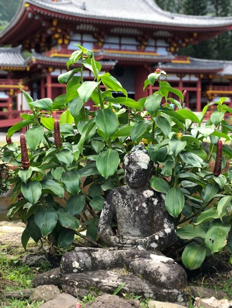 Hidden Buddha statue at Hawaii templeの素材