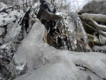 Ice covered tree branch in a small creek.の写真素材