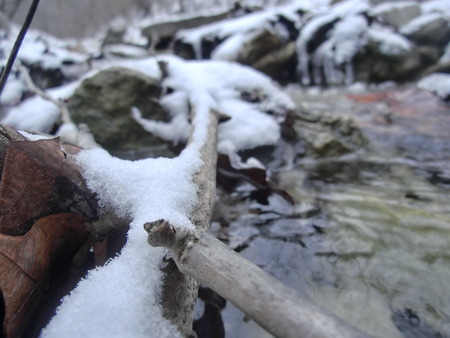 Snow covered tree branches in a small creek.の写真素材