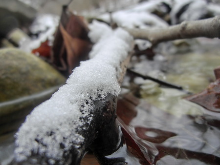 Snow resting on a small stick in the middle of a creek.の写真素材