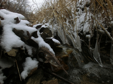 The edge of a small rock ledge in the middle of a little creek with water flowing over top and one side being leaf build up and the other being grasses.の写真素材