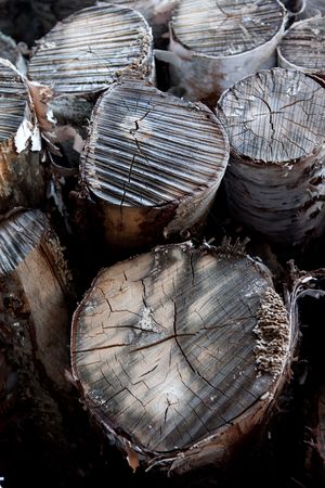 Logs ready for production