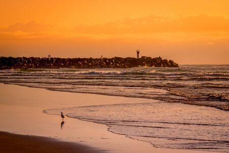 Purple and orange sunrise on a beach with a seagull and waves. People are in the background walking on a groin with a small lighthouse at the end of it.の写真素材