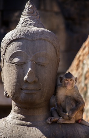 Crab eating macaque on Buddha statue in Lopburi ruins, Thailandの写真素材