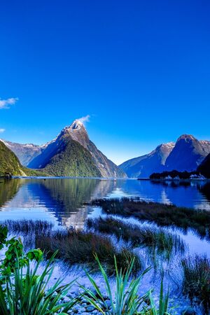 Calm waters and dramatic peaks of Milford Sound in the remote Fiordland region in the south west of New Zealand's South Islandの写真素材