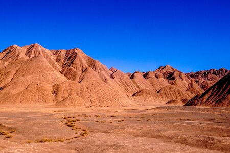 A herd of vicunas pass through the red hills of the Desierto de Laberinto, or Labyrinth Desert, at Tolar Grande in the high altitude altiplano puna desert near Salta in Argentinaの写真素材
