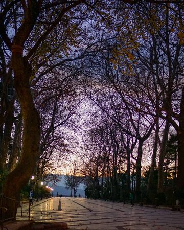 The white marble plaza of Alameda del Tajo park, under purple dusk skies with the silhouettes of bare trees in Ronda, in the Andalucia region of southern Spainの写真素材