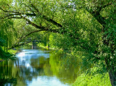 Lush green forest and overhanging branches surround the Mukhavets River that runs through the city of Brest, Belarusの写真素材