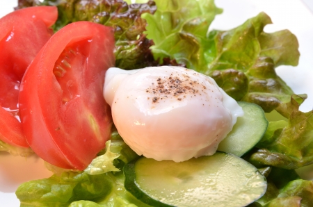 poached eggの写真素材