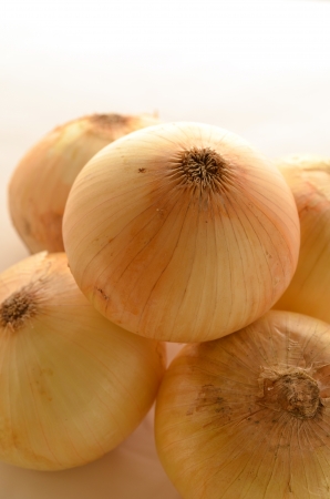 Fresh onionの写真素材