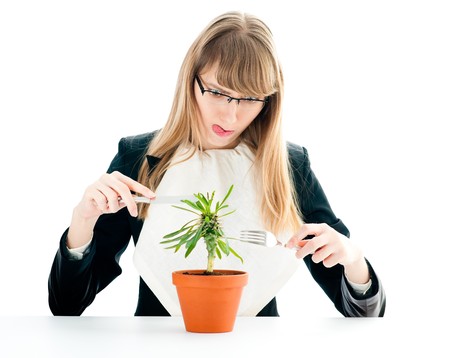 flower in pot: nice healthy business lunch for young business woman isolated on white with fork and knife in her handsの写真素材