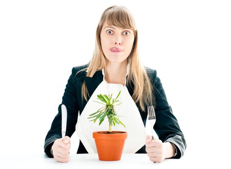 flower in pot: nice healthy business lunch for young business woman isolated on white with fork and knife in her handsの写真素材