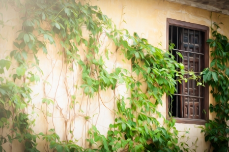 Yellow old wall with green plants as decoration. Brown open window with bars. Rural house in Andalucia, Spain. Beautiful building in spanish style. Popular destination for tourists in Europe.の写真素材