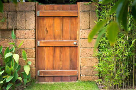Close-up view of house details. Old front wooden door made of boards with lock and part of worn grungy wall with green covering it. Facade and exterior of buildings.の写真素材