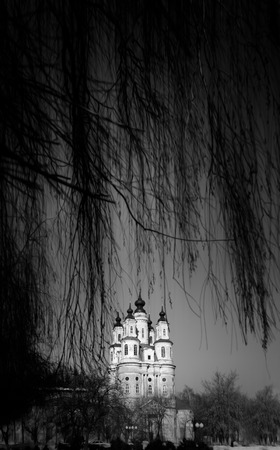 Black and white photo of beautiful Orthodox church with five domes through branches of tree. Winter...