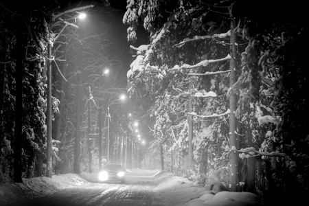 Car driving in winter forest covered with snow. Night scene, street lights along road.の写真素材