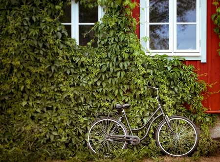 Bicycle with green foliage wall and red house in background. Sweden, Scandinavia, Europeの写真素材