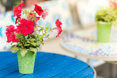 Flower pot on table in cafe. Cozy street restaurant in Sweden, Scandinavia, Europe.の写真素材